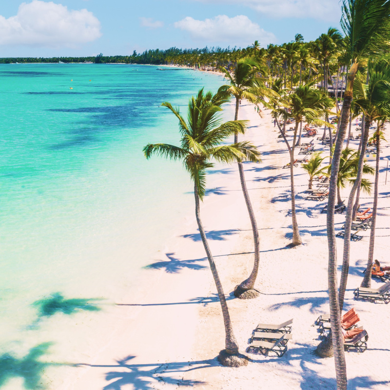 A white sand beach in Punta Cana with palm trees