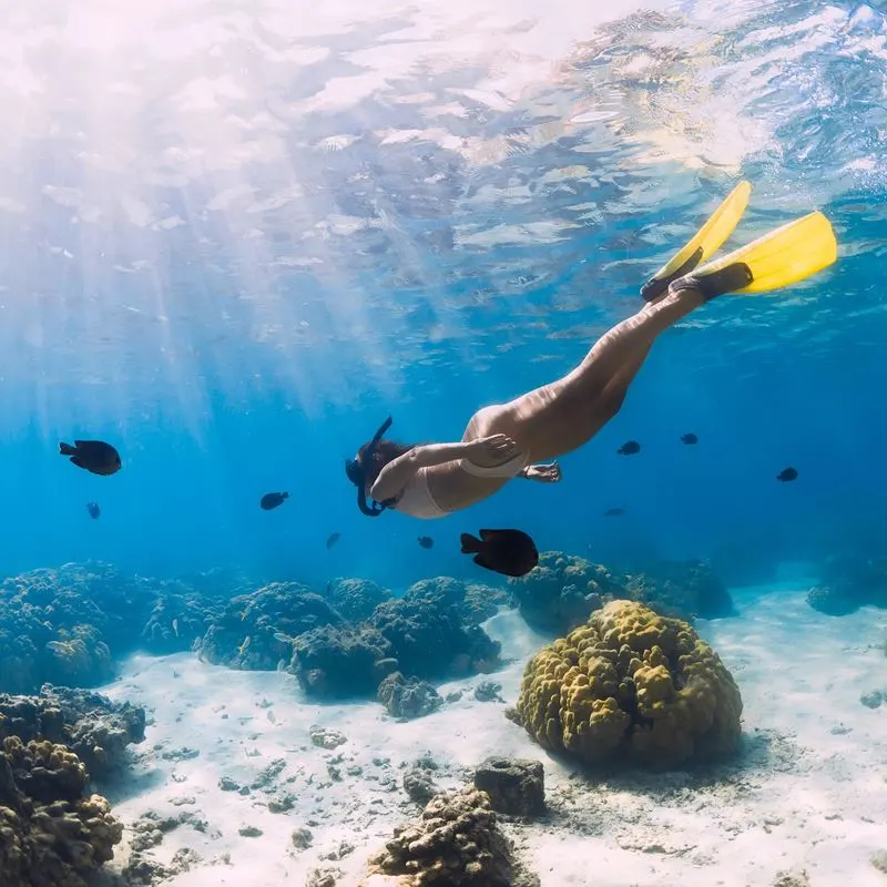 Woman snorkeling