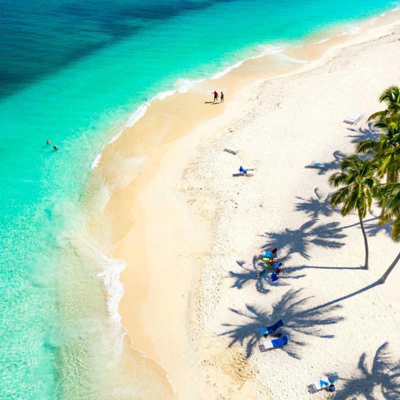 Aerial view of a beach in Samana with palm trees and sand