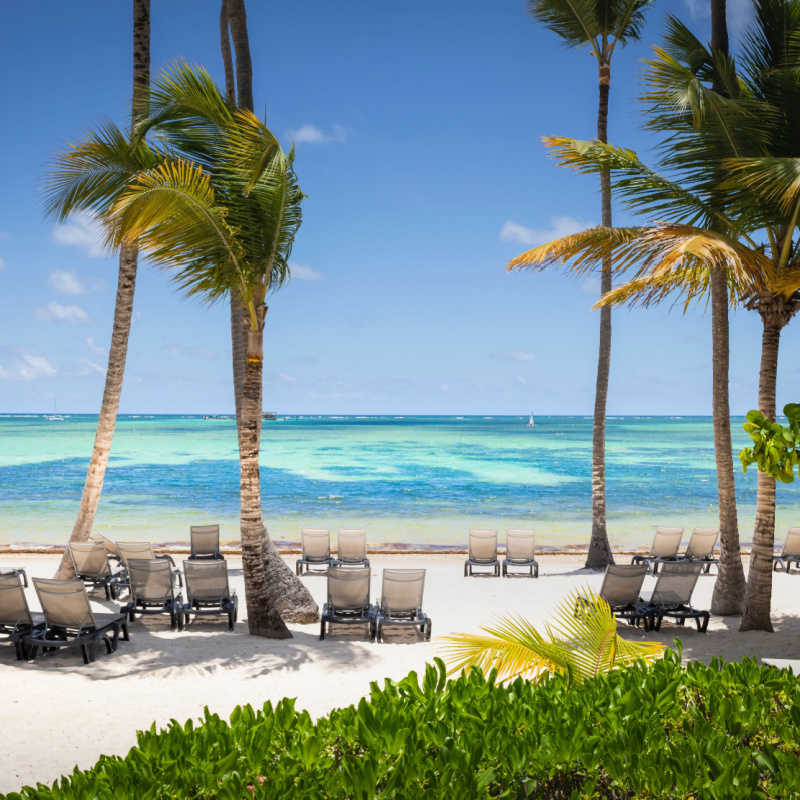 A white sand beach with palm trees in Punta Cana 