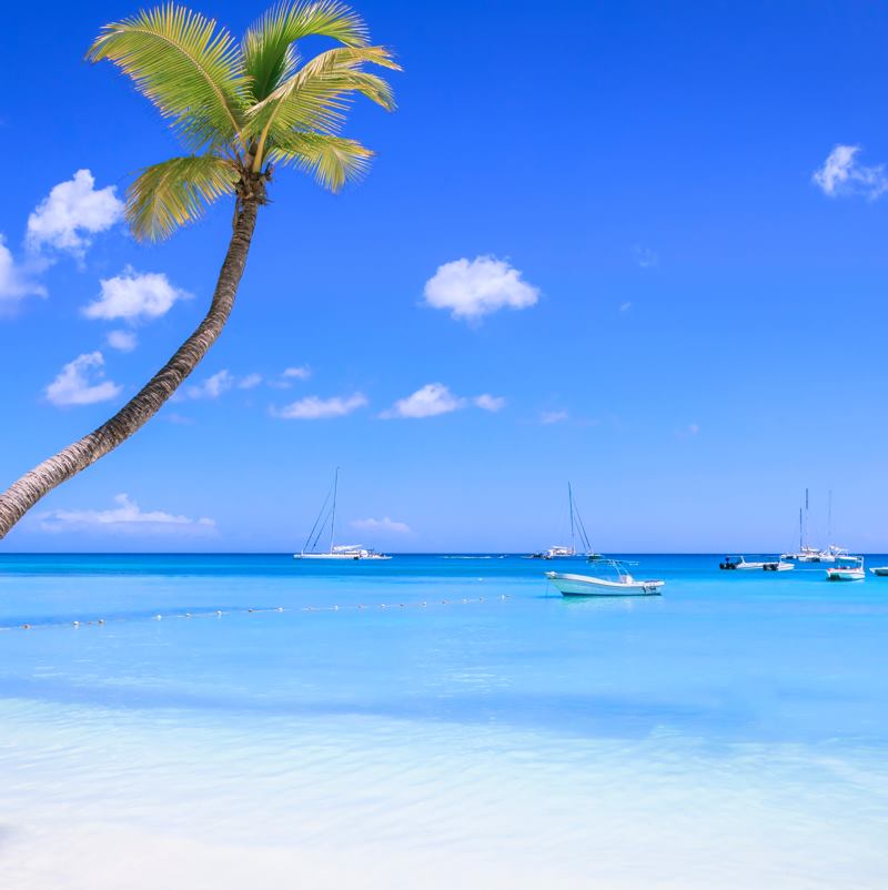 5 Reasons Why Punta Cana Will Have An All-Time Record Breaking Year