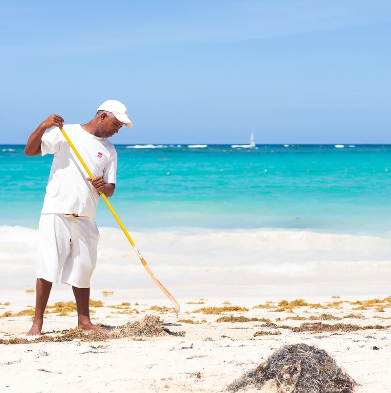 Dominican Republic Takes Major Step In Fighting Against Sargassum With New Government Decision