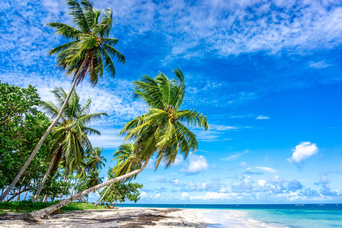 Dominican Republic beach during high season