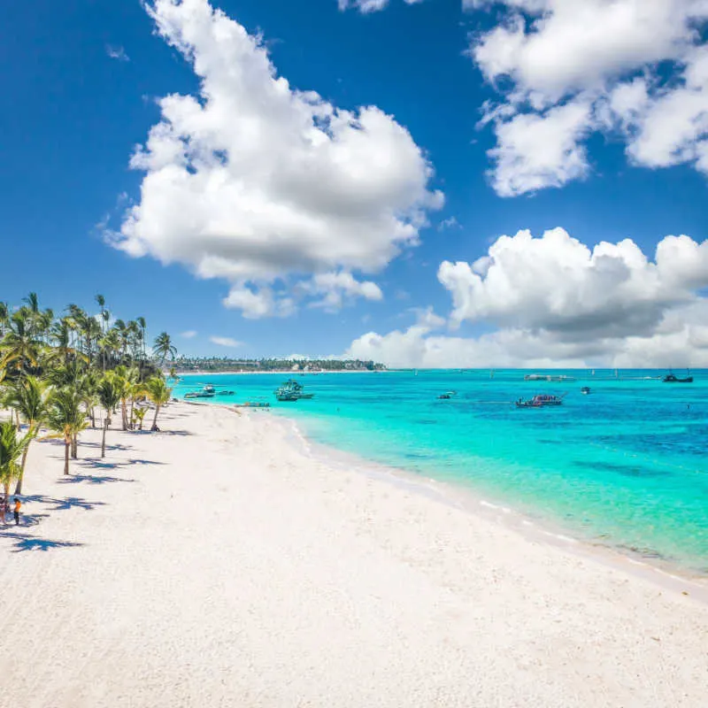 a white-sand beach in punta cana with palm trees