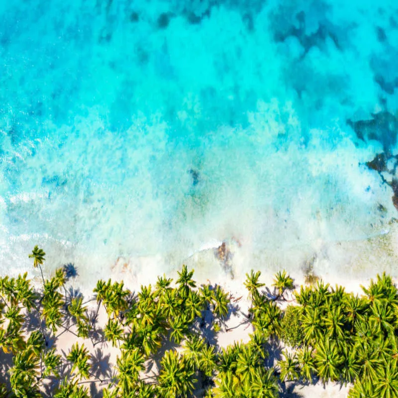 aerial view of a white and beach in punta cana with palm trees