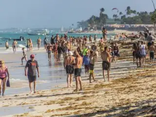 Busy Bavaro Beach IN Punta Cana Crowded with Tourists