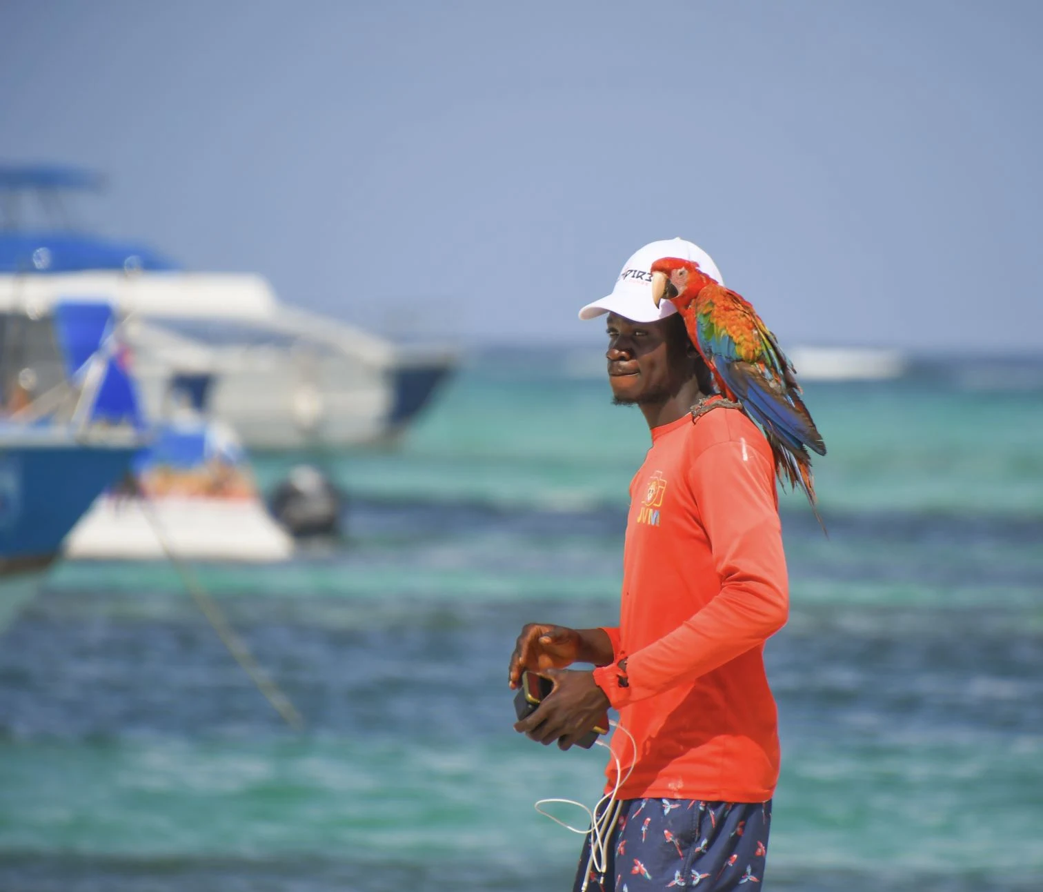 Tourist Parrot in Punta cana