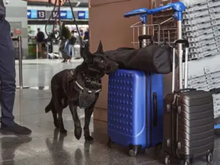 10 Prohibited Items You Can&rsquo;t Bring To Punta Cana In 2026 Don&rsquo;t Get Fined