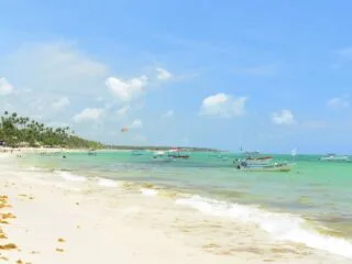 This Isn't Normal Punta Cana Is Seeing Sargassum In The Middle Of Winter 1