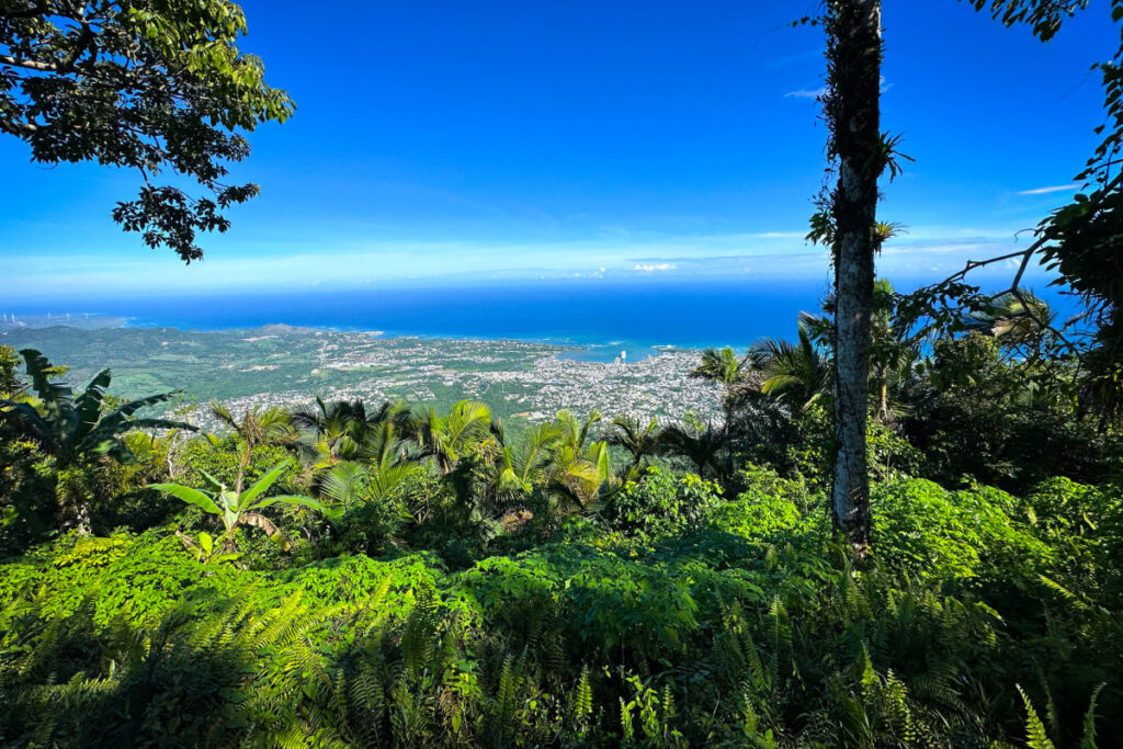Mount Isabel de Torres view looking down at Puerto Plata by Tyler Fox