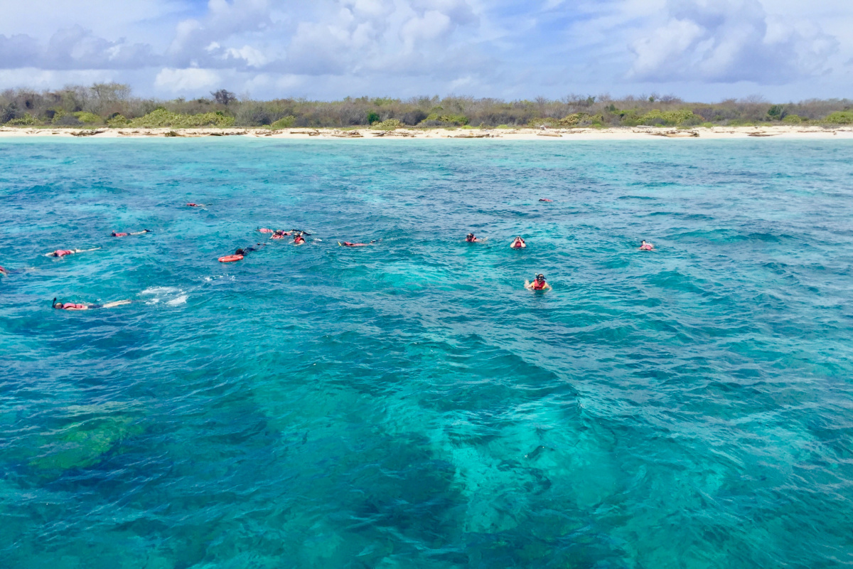 Catalina Island, Dominican Republic snorkeling