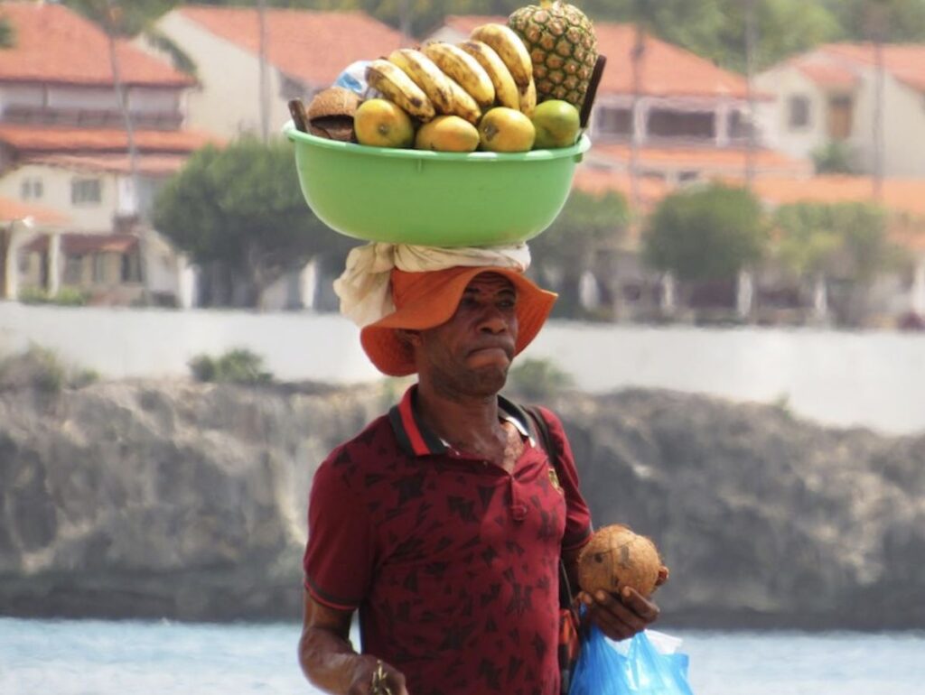 Fruit